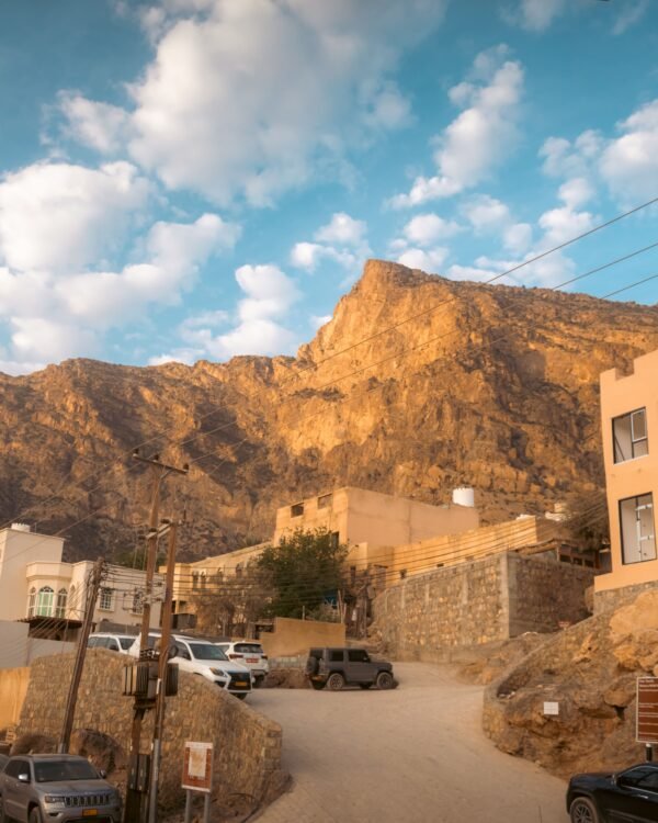 IMG_7639 (3)